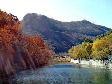 澳彩资料免费长期公开，神马泛目录